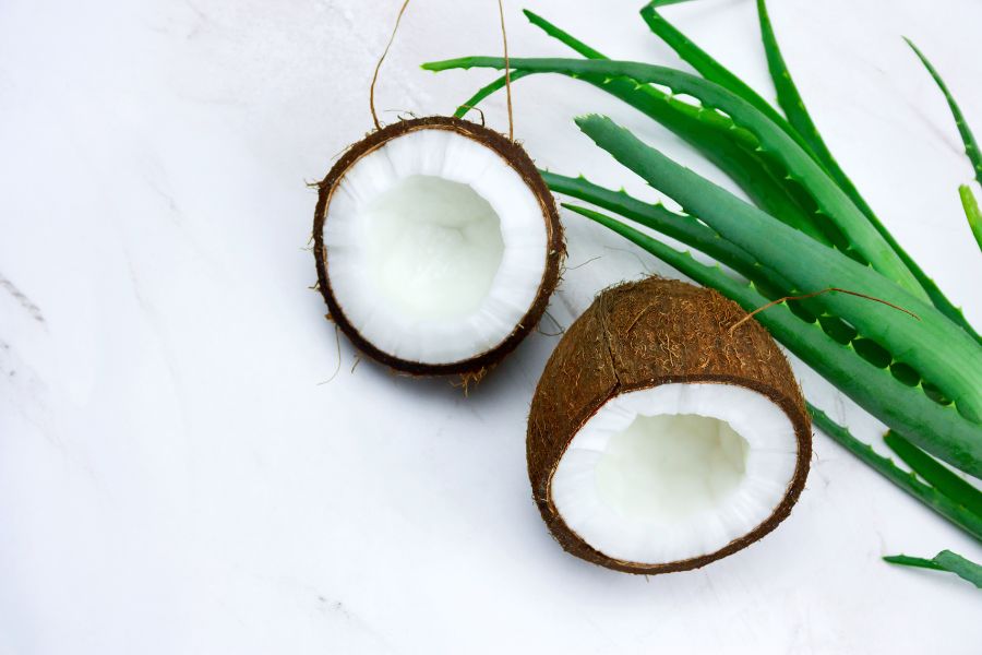 Tratamento de superfície de Aloe - Aloe &amp; Coconut