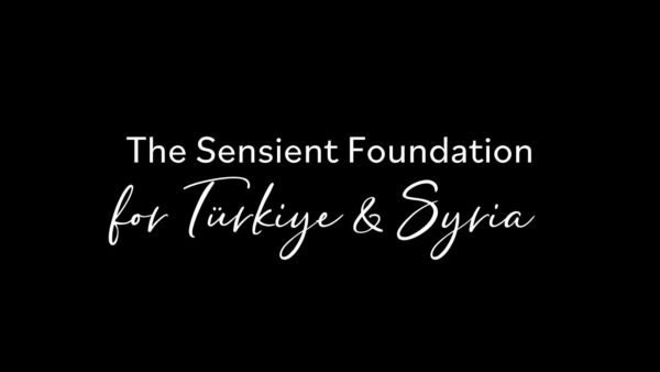 Sensient Foundation - トルコ・シリア ウェブサイトの特集画像