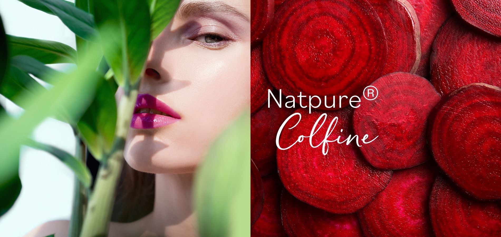 Natpure Colfine Website Featured Image