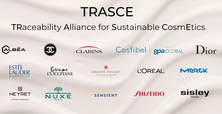 TRASCE-Allianz