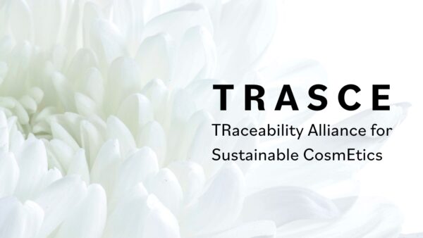 TRASCE Featured Image