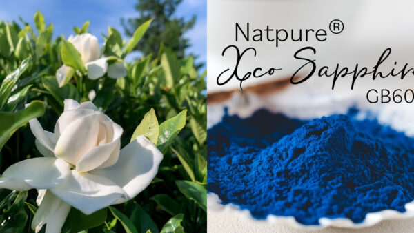 Natpure Xco Sapphire ウェブサイト おすすめ画像