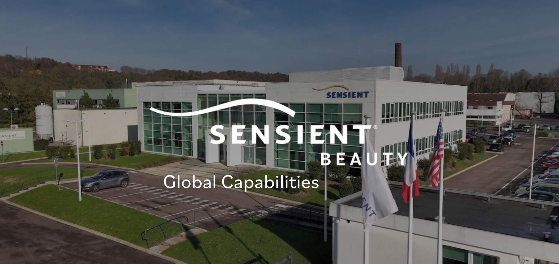 Sensient Beauty Global Capabilities