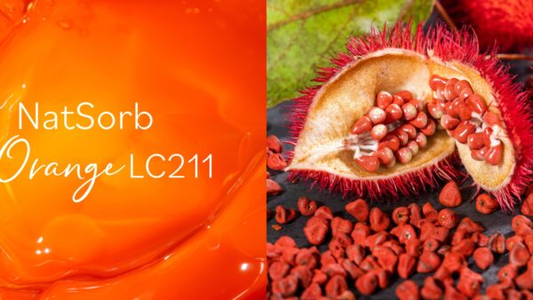 NatSorb Orange LC211 Website Featured Image