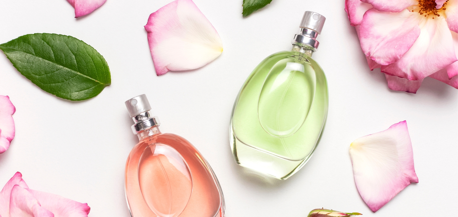 Color & Fragrance Protectors Website Featured Image 2025