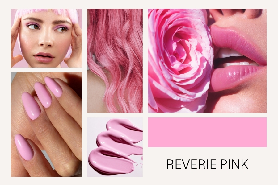 Color of the Year 2026 - Insights 2